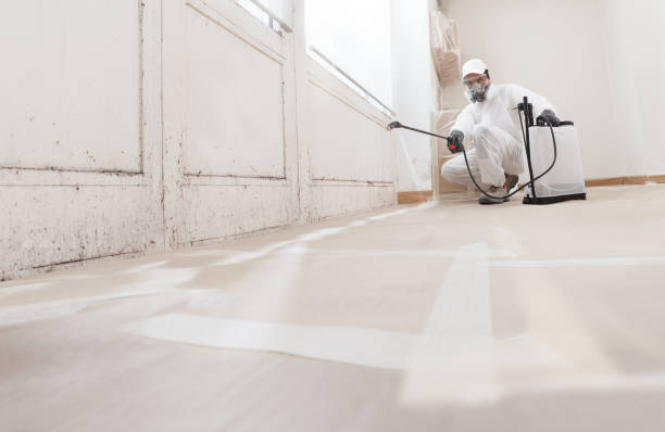 24/7 Emergency Attic Mold Remediation experts in Black Diamond, FL